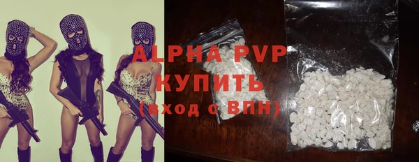 тгк Каменногорск
