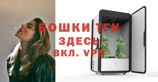 тгк Каменногорск