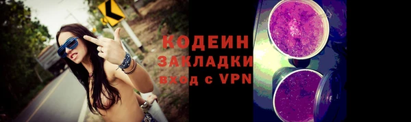молекула духа Каменка