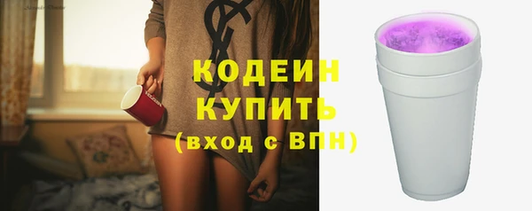 молекула духа Каменка