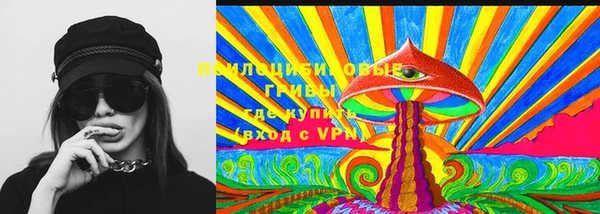 молекула духа Каменка