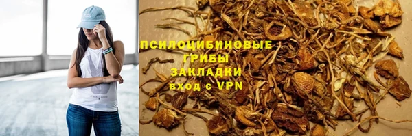 молекула духа Каменка