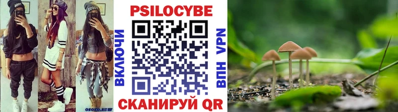 Галлюциногенные грибы Psilocybe  Купить закладки  Шумерля 